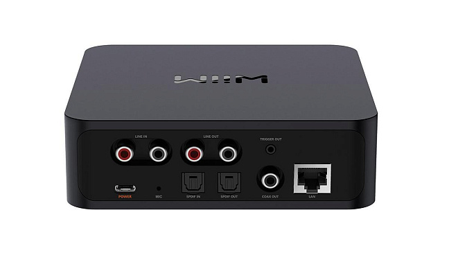   wiim pro plus (  Wiim)